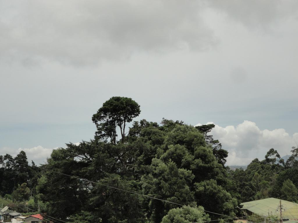Srihelyes Inn Nuwara Eliya Luaran gambar